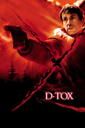 D-Tox Eye See You 2002 Hindi Dual Audio [700MB]