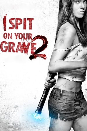 I Spit on Your Grave 2 (2013) Hindi Dual Audio – 480p