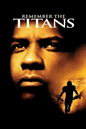 Remember the Titans (2000) Hindi Dual Audio [700MB]