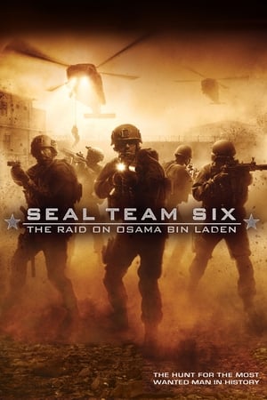 Seal Team Six: The Raid on Osama Bin Laden (2012) Hindi Dual Audio 300MB