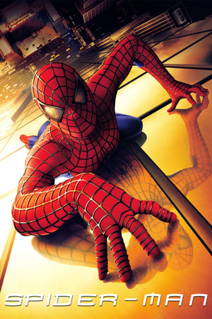 Spider Man (2002) Hindi Dual Audio [800MB] Download