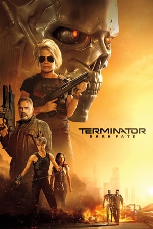Terminator: Dark Fate (2019) Hindi (Org) Dual Audio [1GB]